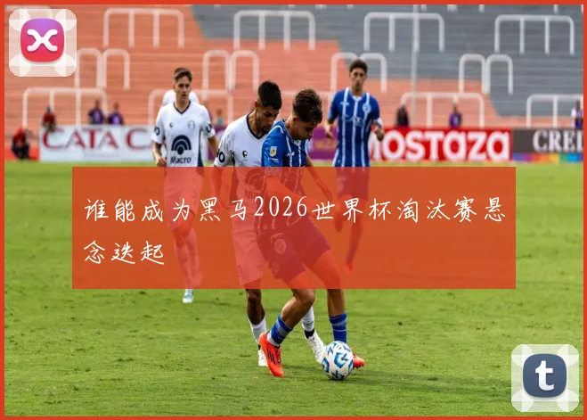 谁能成为黑马2026世界杯淘汰赛悬念迭起