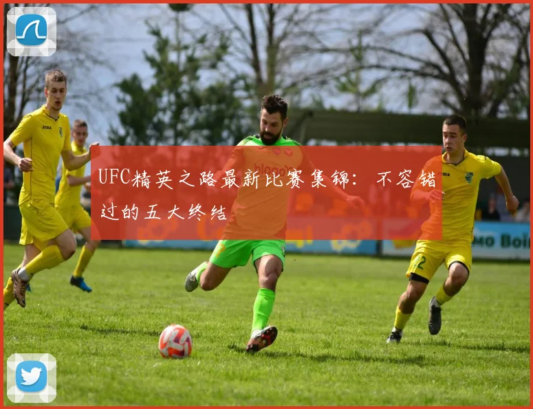 UFC精英之路最新比赛集锦:不容错过的五大终结