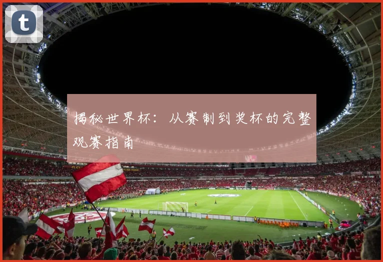 揭秘世界杯:从赛制到奖杯的完整观赛指南
