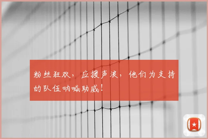 粉丝狂欢，应援声浪，他们为支持的队伍呐喊助威！