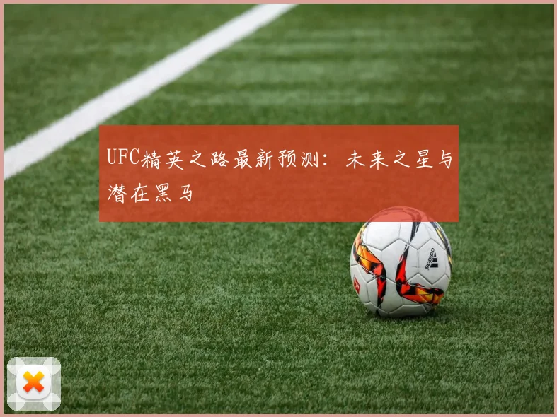 UFC精英之路最新预测：未来之星与潜在黑马