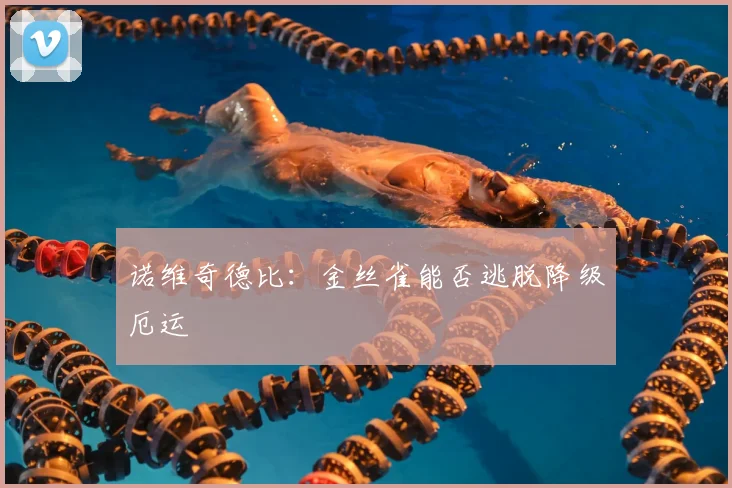 诺维奇德比：金丝雀能否逃脱降级厄运