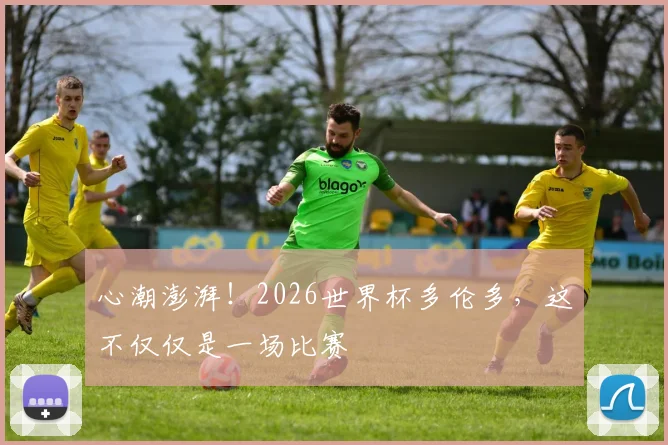 心潮澎湃!2026世界杯多伦多,这不仅仅是一场比赛
