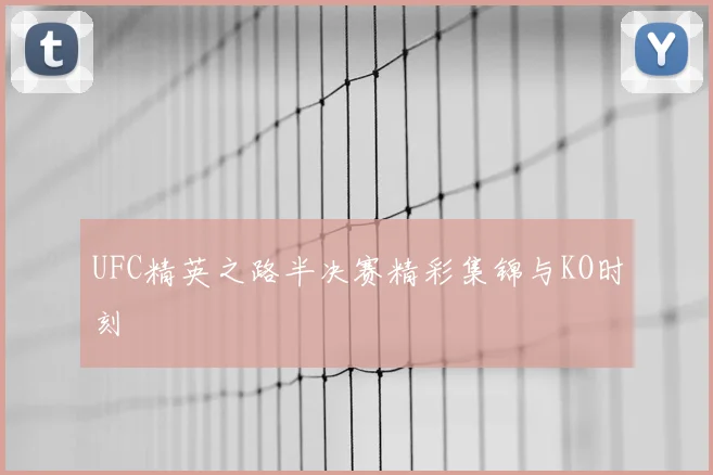 UFC精英之路半决赛精彩集锦与KO时刻