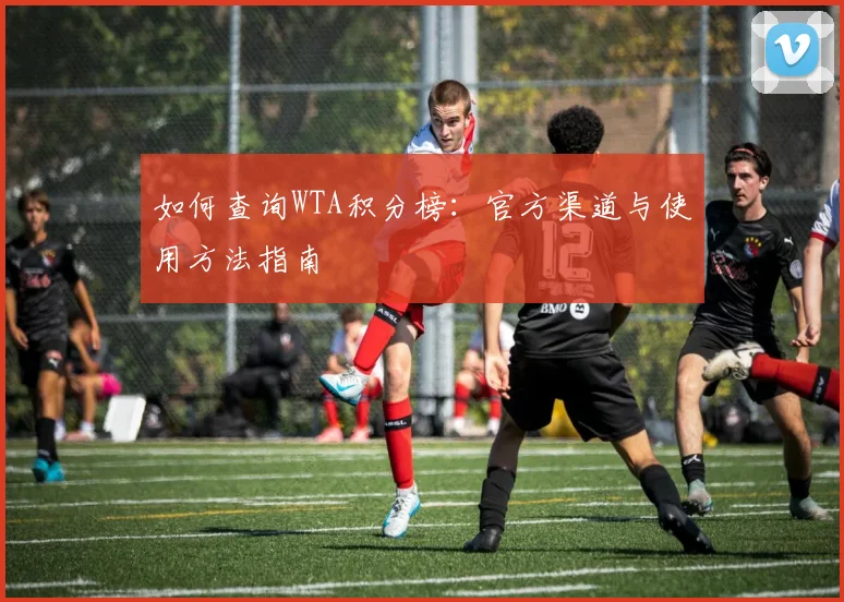 如何查询WTA积分榜：官方渠道与使用方法指南