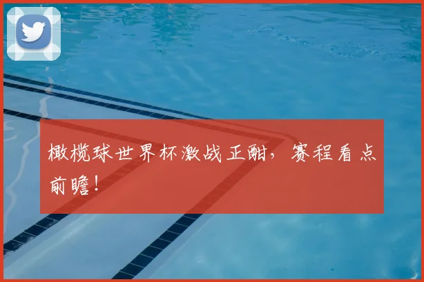 橄榄球世界杯激战正酣,赛程看点前瞻!