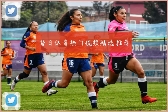 每日体育热门视频精选推荐
