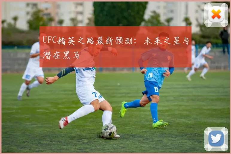 UFC精英之路最新预测:未来之星与潜在黑马