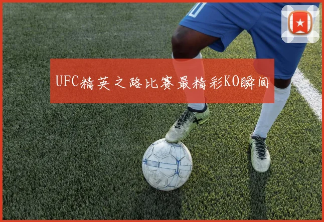 UFC精英之路比赛最精彩KO瞬间
